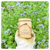 phacelia-honey-medium-jar-of-honey-from-the-apiary