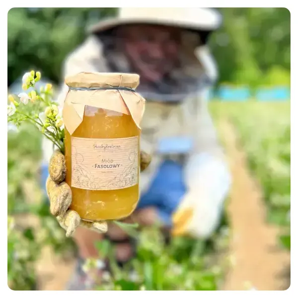 large-bean-honey-straight-from-the-apiary