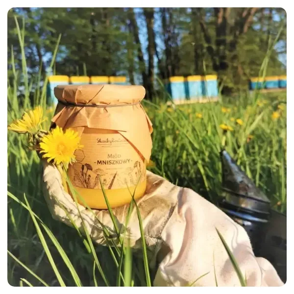 dandelion-honey-medium-from-the-apiary