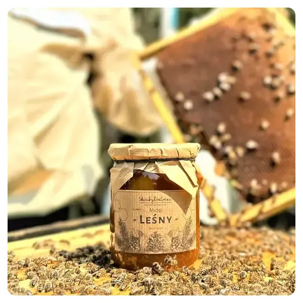 Waldhonig-direkt-aus-dem-Bienenstock-650g