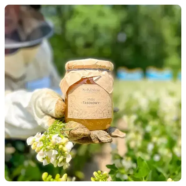 medium bean honey-straight-from-the-apiary