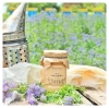 Phacelia-Honig-kleines-Glas-Honig-aus-der-Imkerei