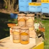 Set aus verschiedenen Honigsorten 4 große Gläser Produkt Bienenstock