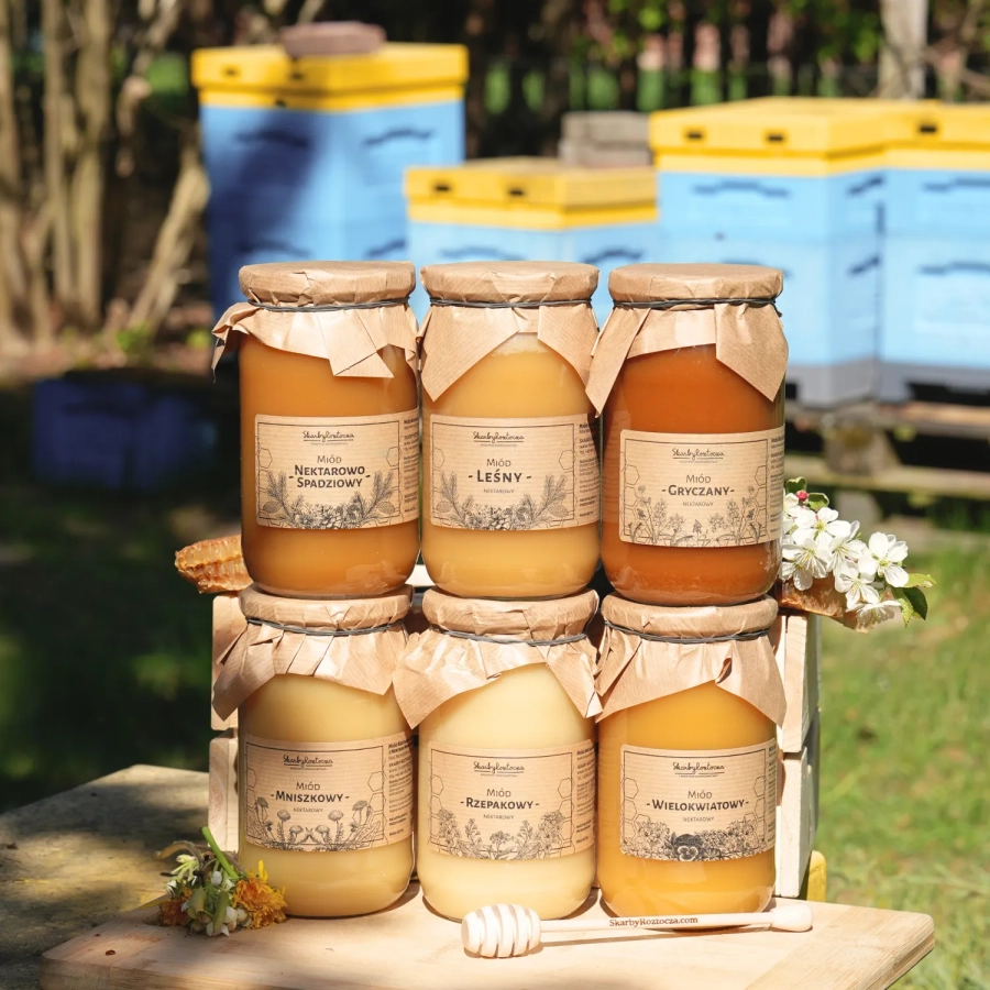 set verschiedener honigsorten 6 große gläser bienenstock