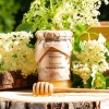 treasures of roztocze elderflower herb-honey