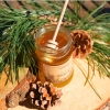 treasures of roztocze pine herb-honey