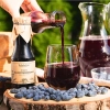 treasures of roztocze haskap berry natural syrup