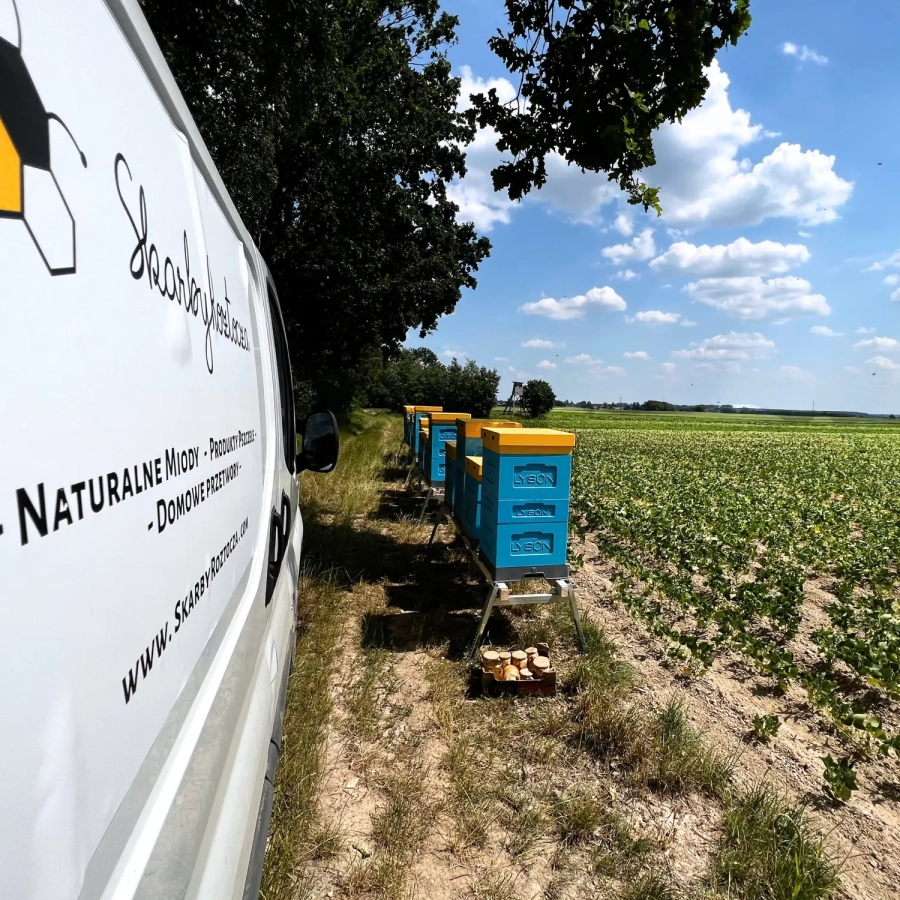miod-fasolowy-duzy-skarby-roztocza-miody-pasieka.webp
