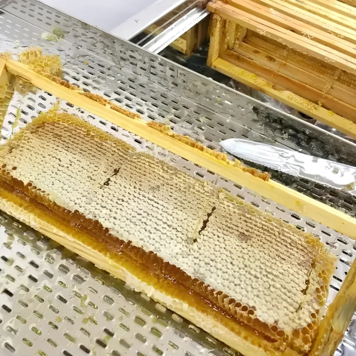 honeycomb straight from the hive roztocze treasures v